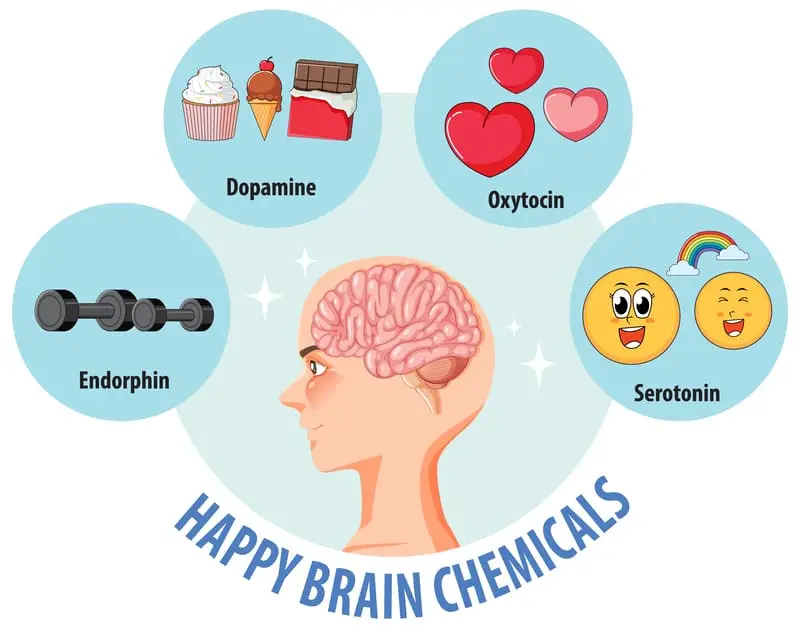 happy-brain-chemicals